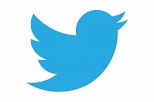 Trepend: Business Consulting: Twitter